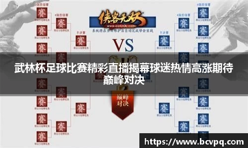 武林杯足球比赛精彩直播揭幕球迷热情高涨期待巅峰对决
