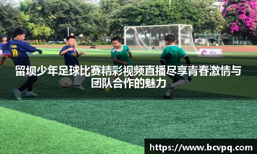 威廉希尔williamhill网址