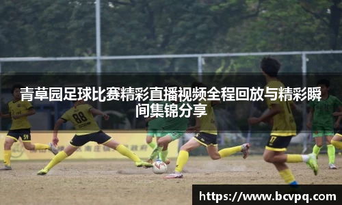 威廉希尔williamhill网址
