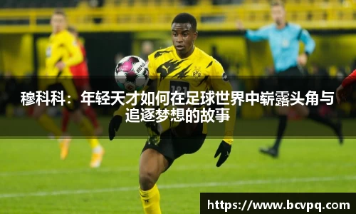 威廉希尔williamhill下载
