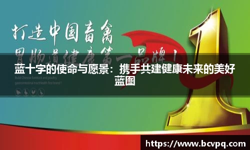 蓝十字的使命与愿景：携手共建健康未来的美好蓝图