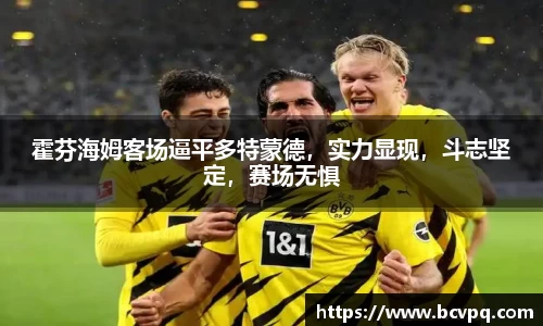 霍芬海姆客场逼平多特蒙德，实力显现，斗志坚定，赛场无惧