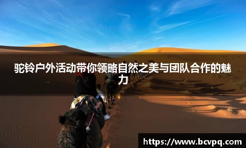 驼铃户外活动带你领略自然之美与团队合作的魅力