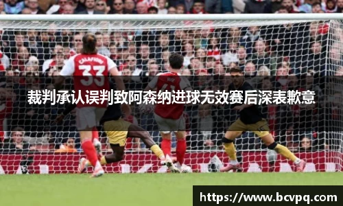 裁判承认误判致阿森纳进球无效赛后深表歉意